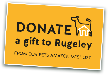 Donate a gift to Rugeley from out Pets Amazon wishlist
